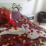 ゲストハウス ホスタル ラ エルミタ ネルハ